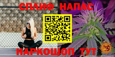 спайс Малгобек