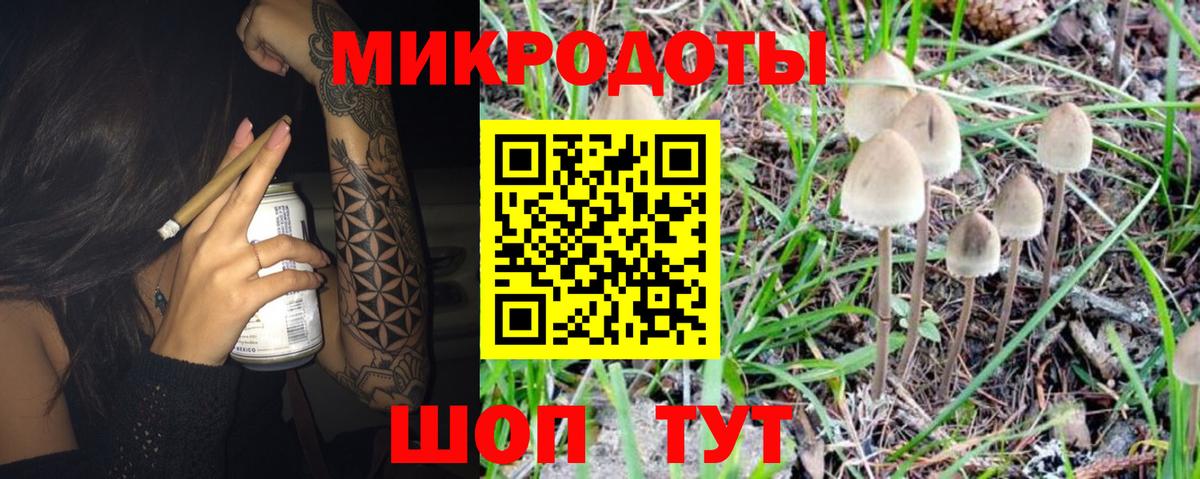 Галлюциногенные грибы ЛСД  Галлюциногенные грибы MAGIC MUSHROOMS  как найти наркотики  Знаменск  Вход с VPN 