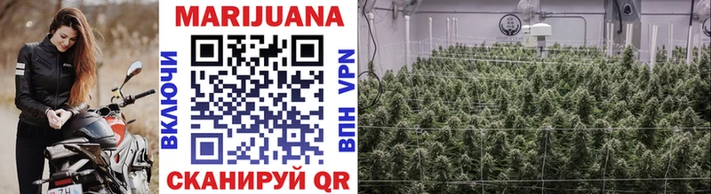 Бошки марихуана White Widow  где можно купить   Знаменск 